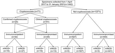 Diagnostic accuracy of metagenomic next-generation sequencing for cryptococcosis in immunocompetent and immunocompromised patients